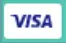 Visa logo